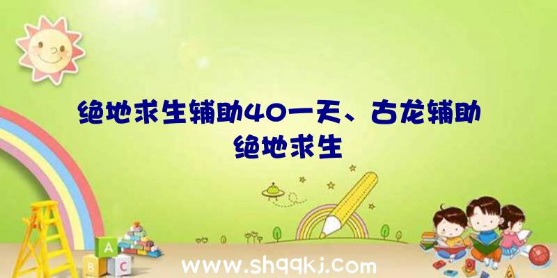 绝地求生辅助40一天、古龙辅助